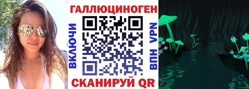 Псилоцибиновые грибы Psilocybe  Балей 
